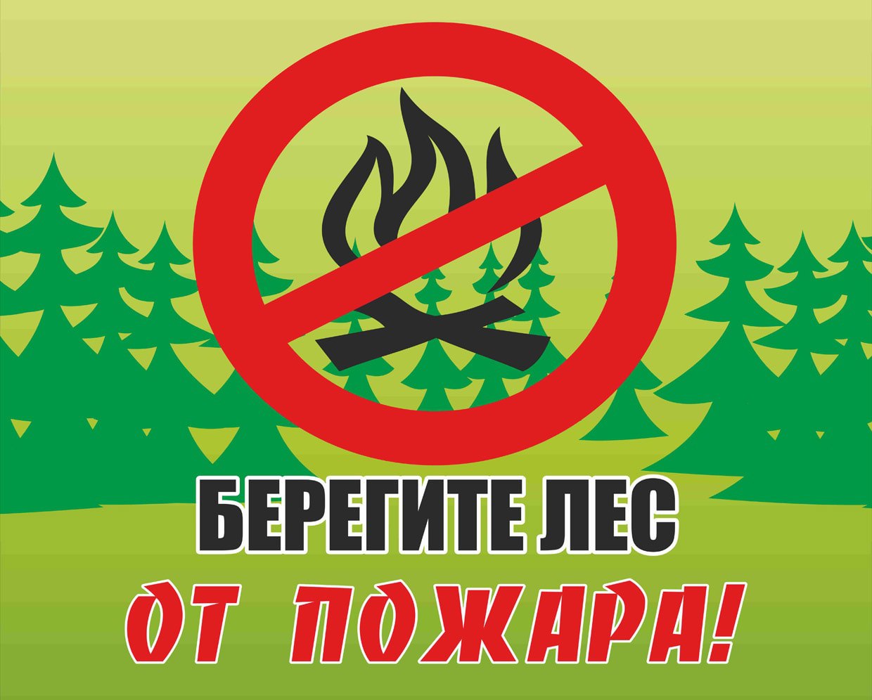 Правила поведения населения при лесных пожарах.